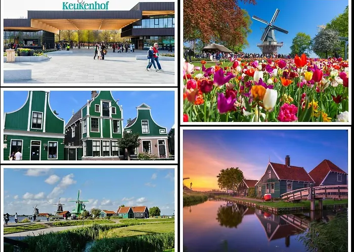 Ycw 'papillon' Apartman