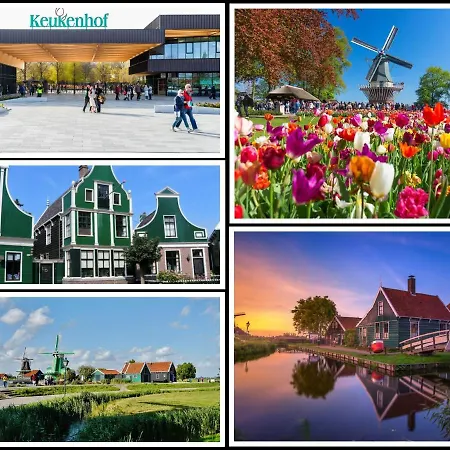 Ycw 'papillon' Apartamento